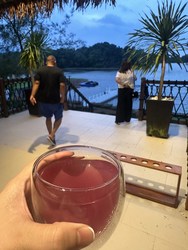 Sofia's Lake - Welcome drinks